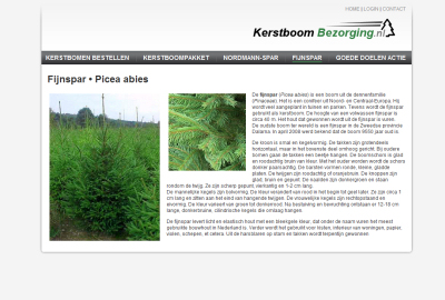 website portfolio