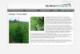 webdesign portfolio